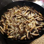 Shira­taki no ita­me